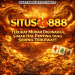 Situs 888